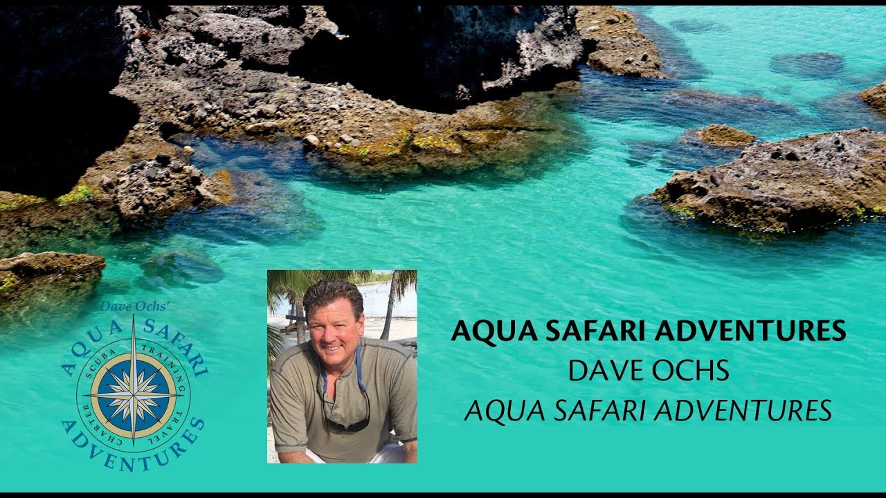 Aqua Safari Adventures Scuba-Trips