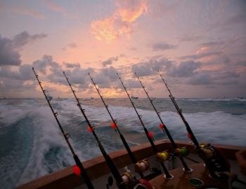 Fishing Charter Boat “Island Breeze”